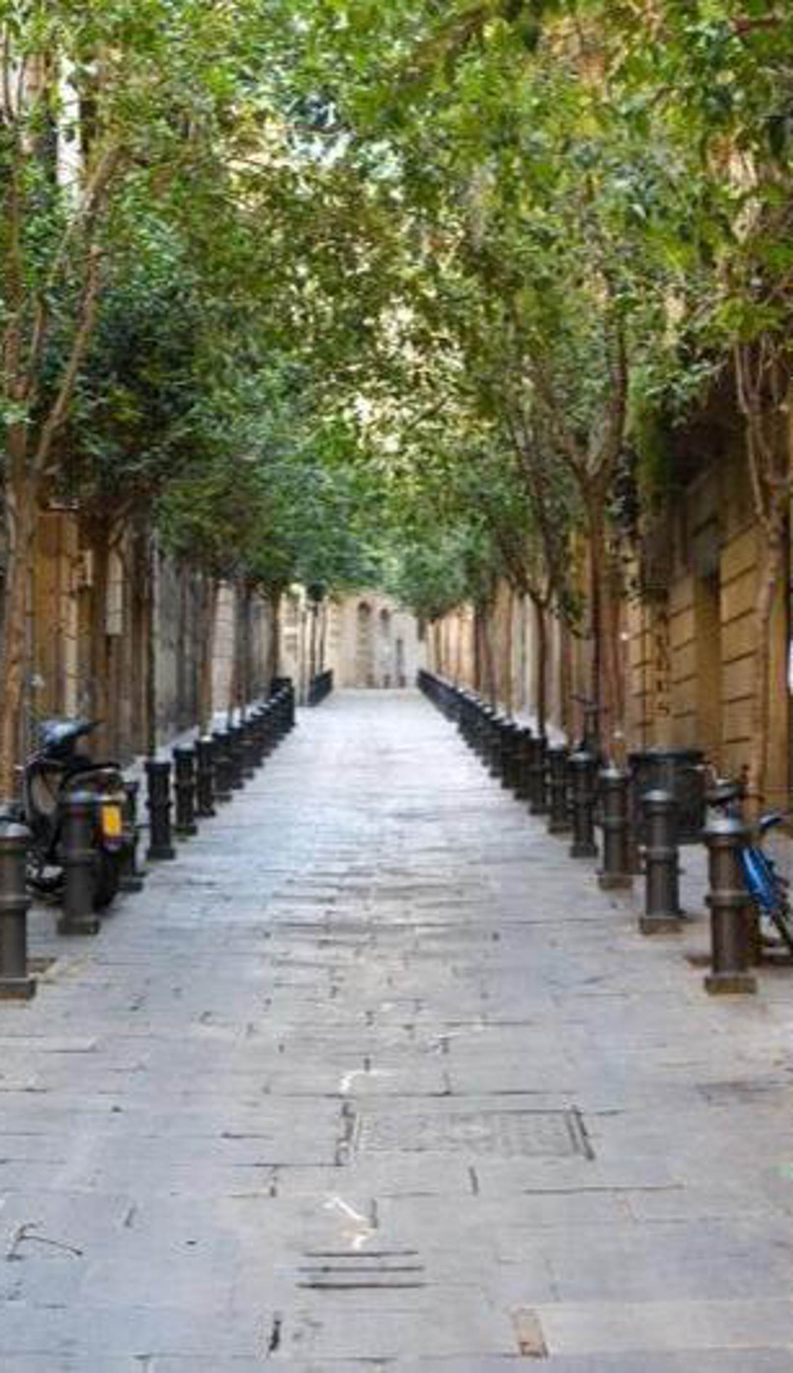 Hostal Nitz BCN