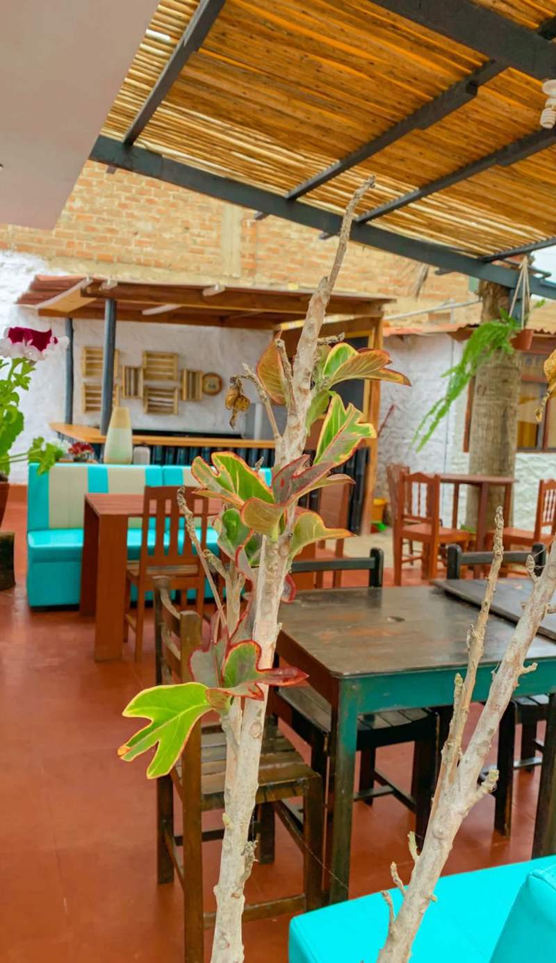 Casa Camelias