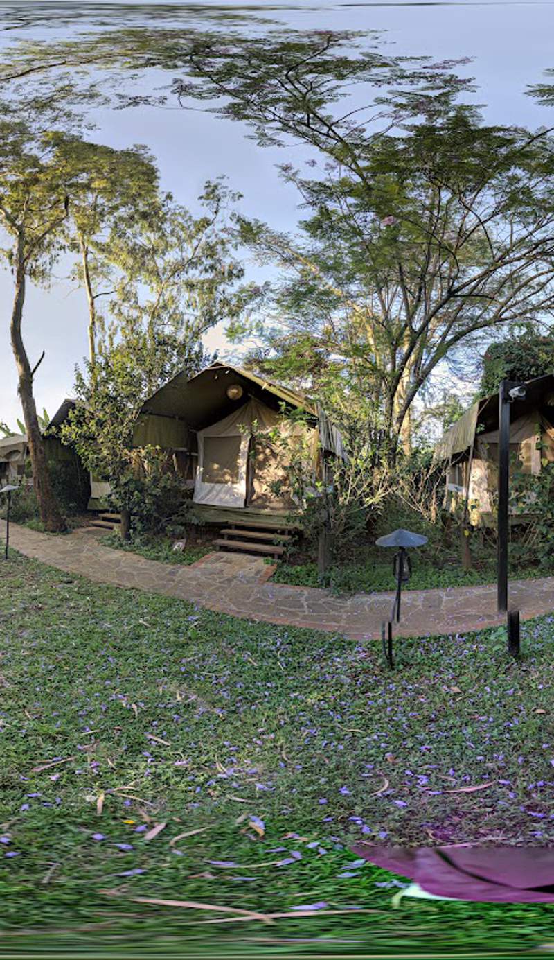 Wildebeest Eco Camp