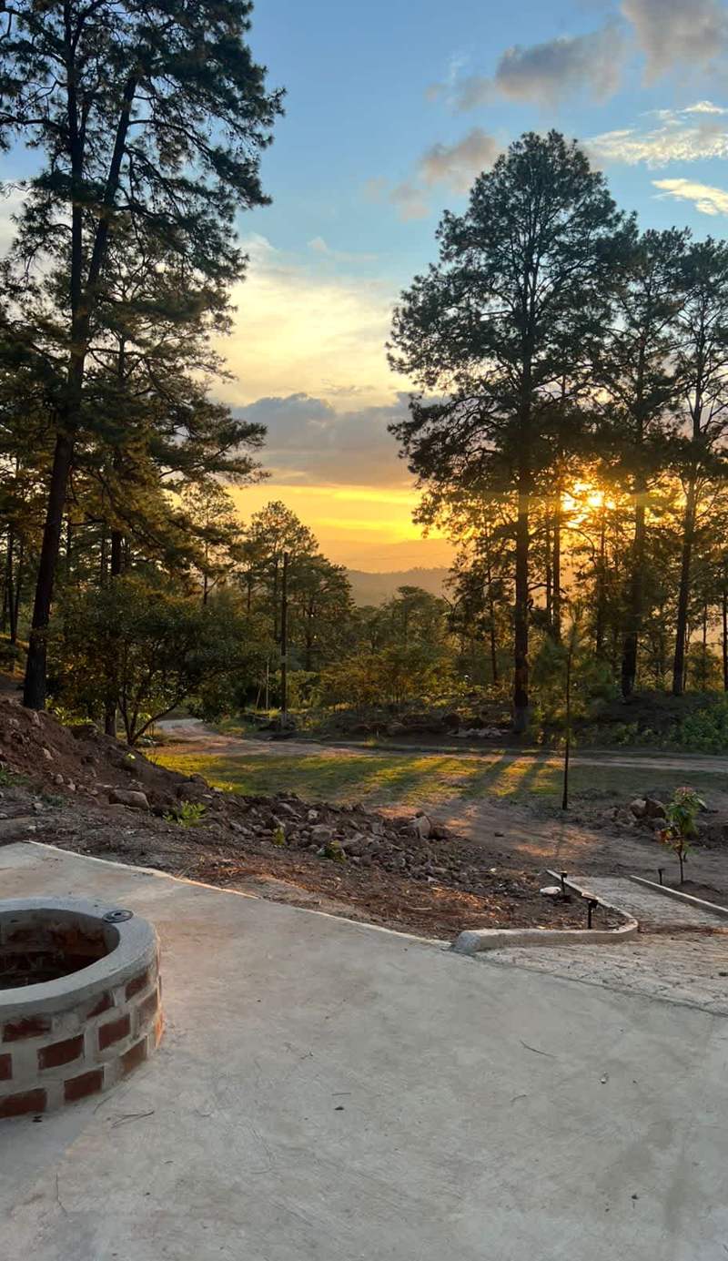Tiny Pines Glamping