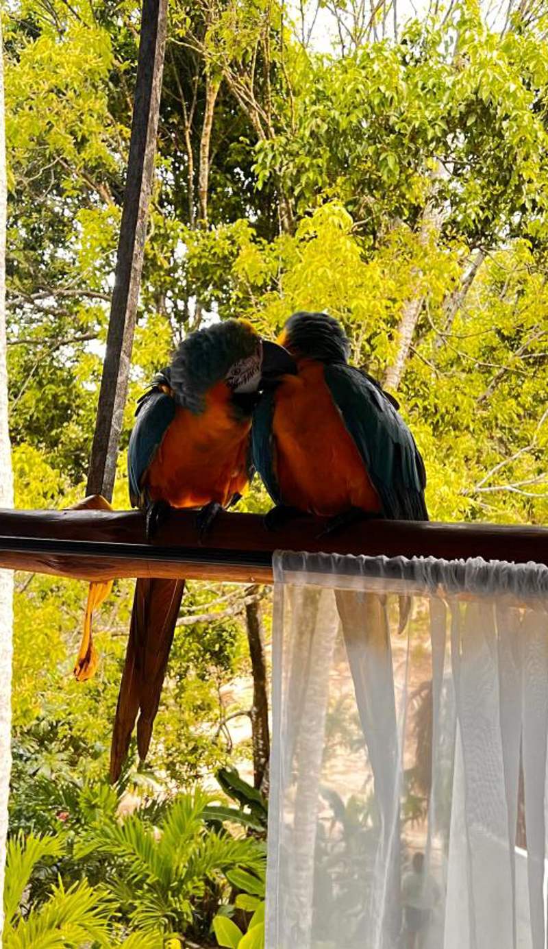 Hotel Jasayma Parque Tayrona