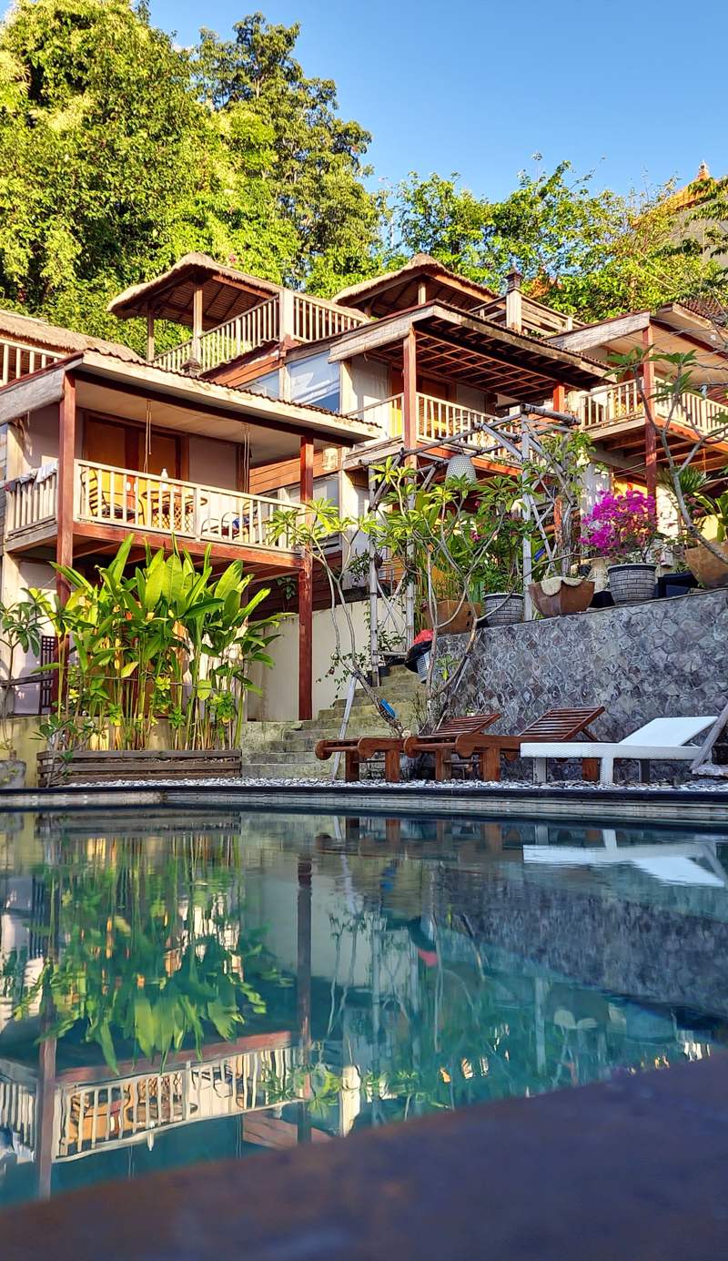 Tree House Lodge