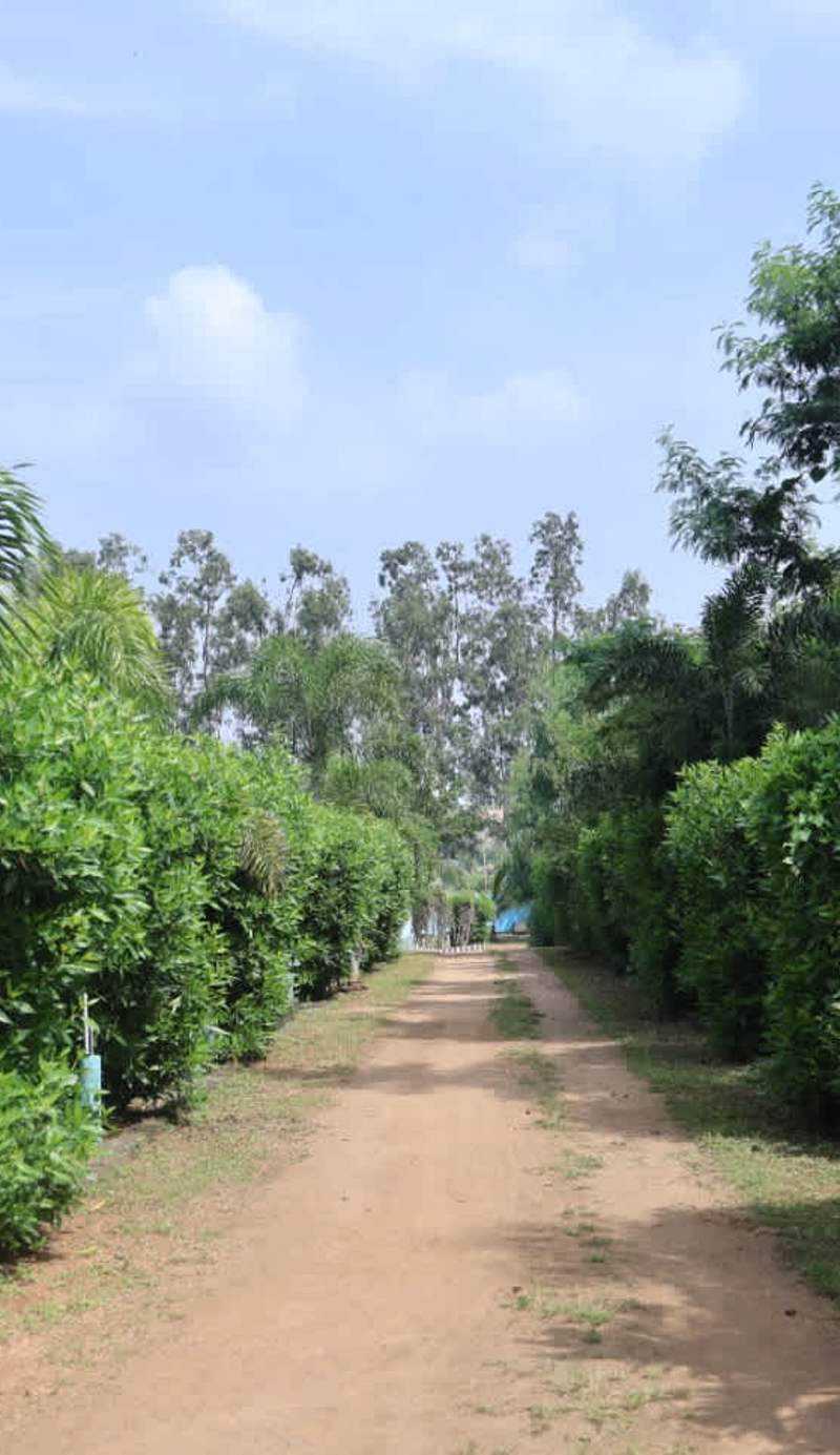 Hampi Blue Moon Resort
