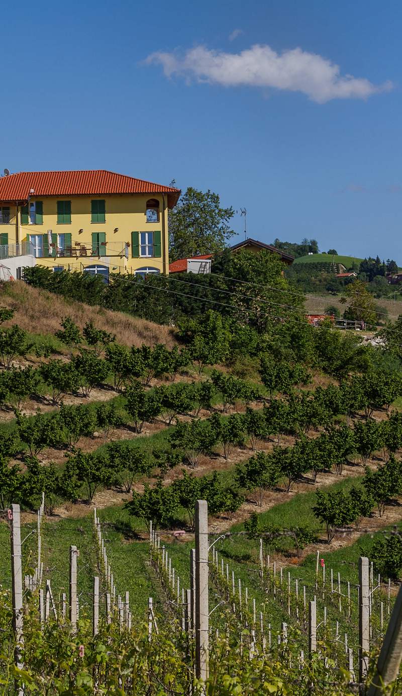 Agriostello delle Langhe