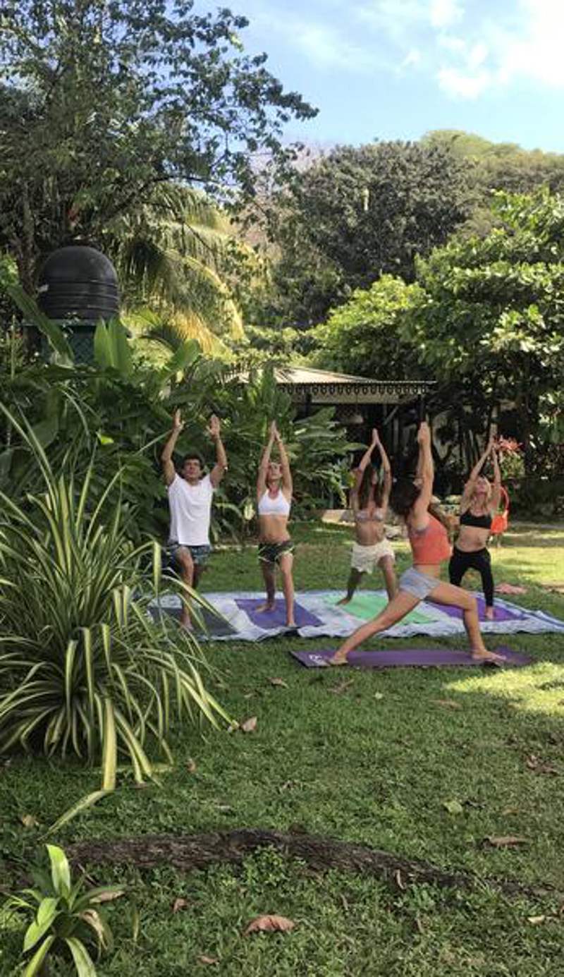 Bajo el Arbol B&B