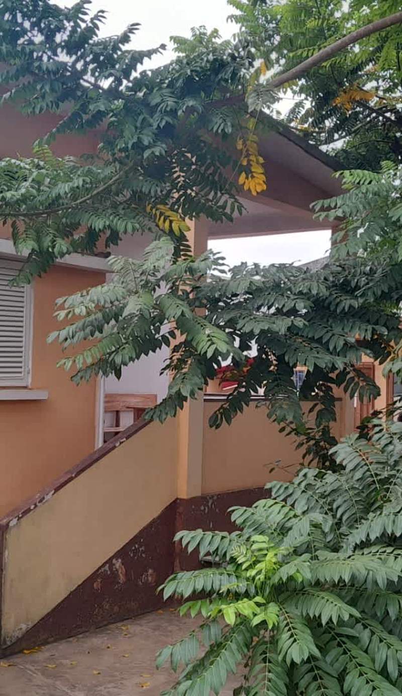 Casa de Ferias