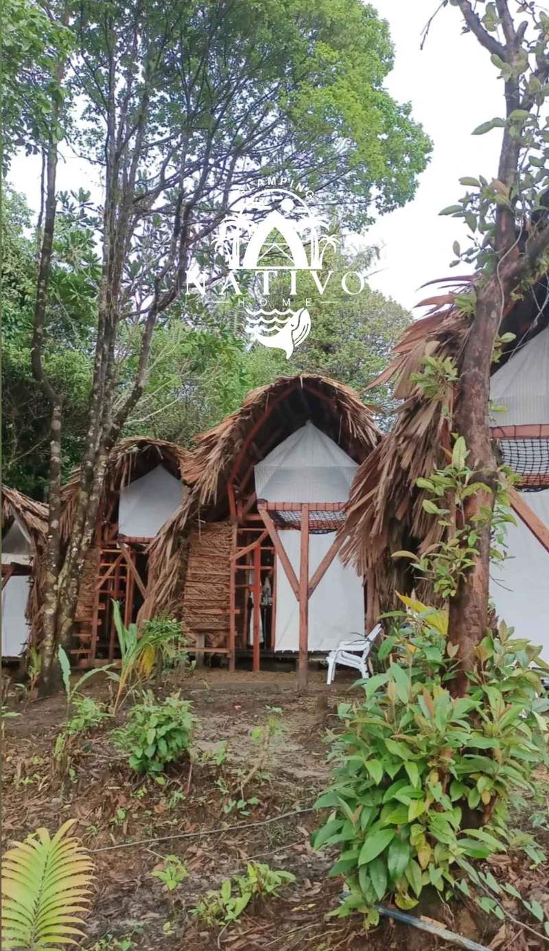 Nativo home