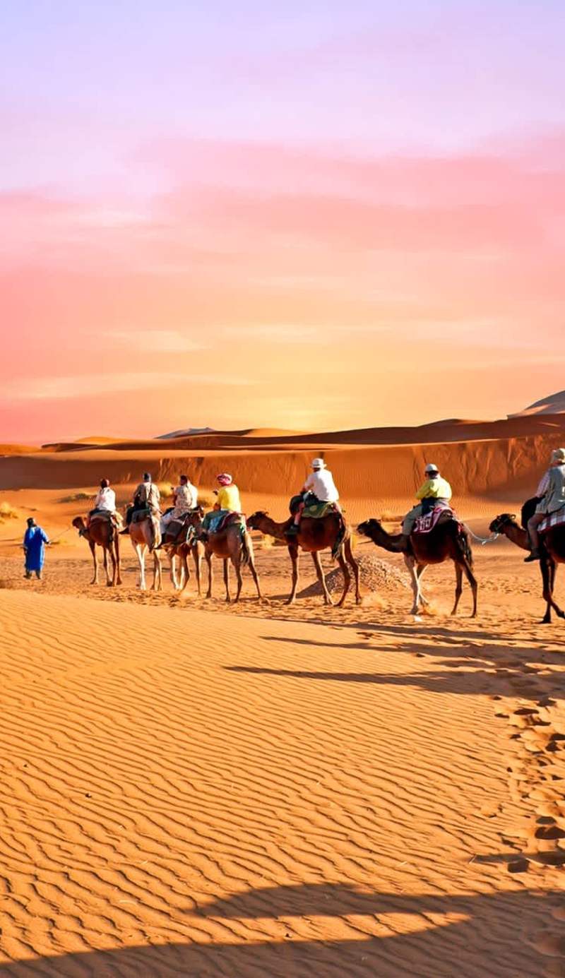Dar Camel Trek Bivouac