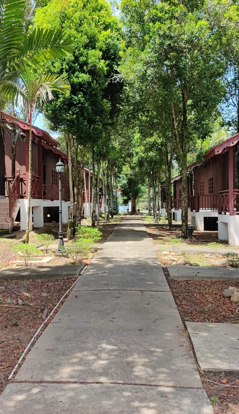 Tekoma Resort Taman Negara