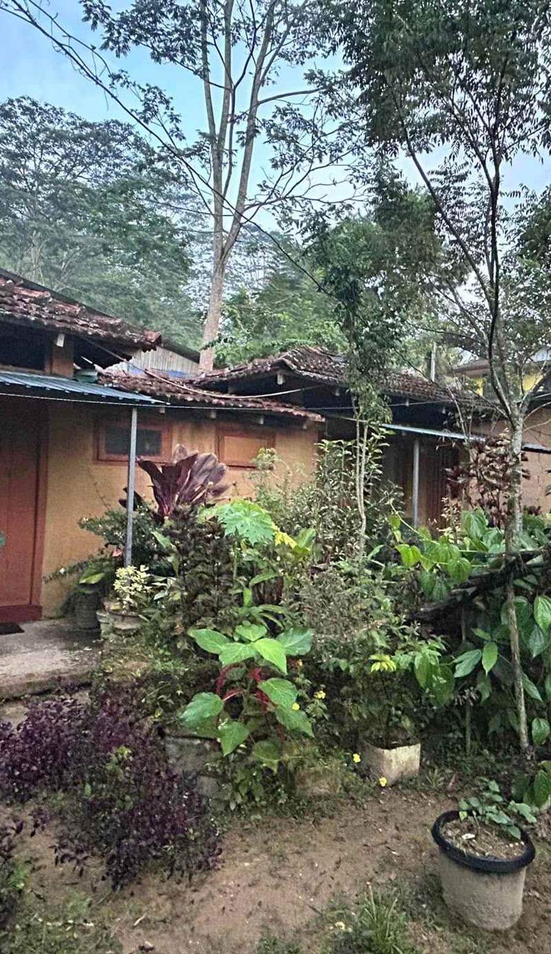 Deniyaya National Backpakers Hostel