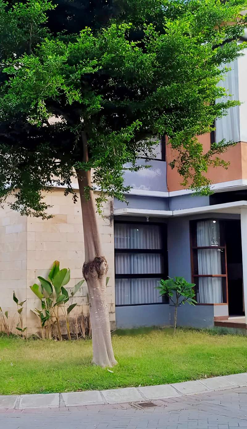 Homestay Gloria - Full House
