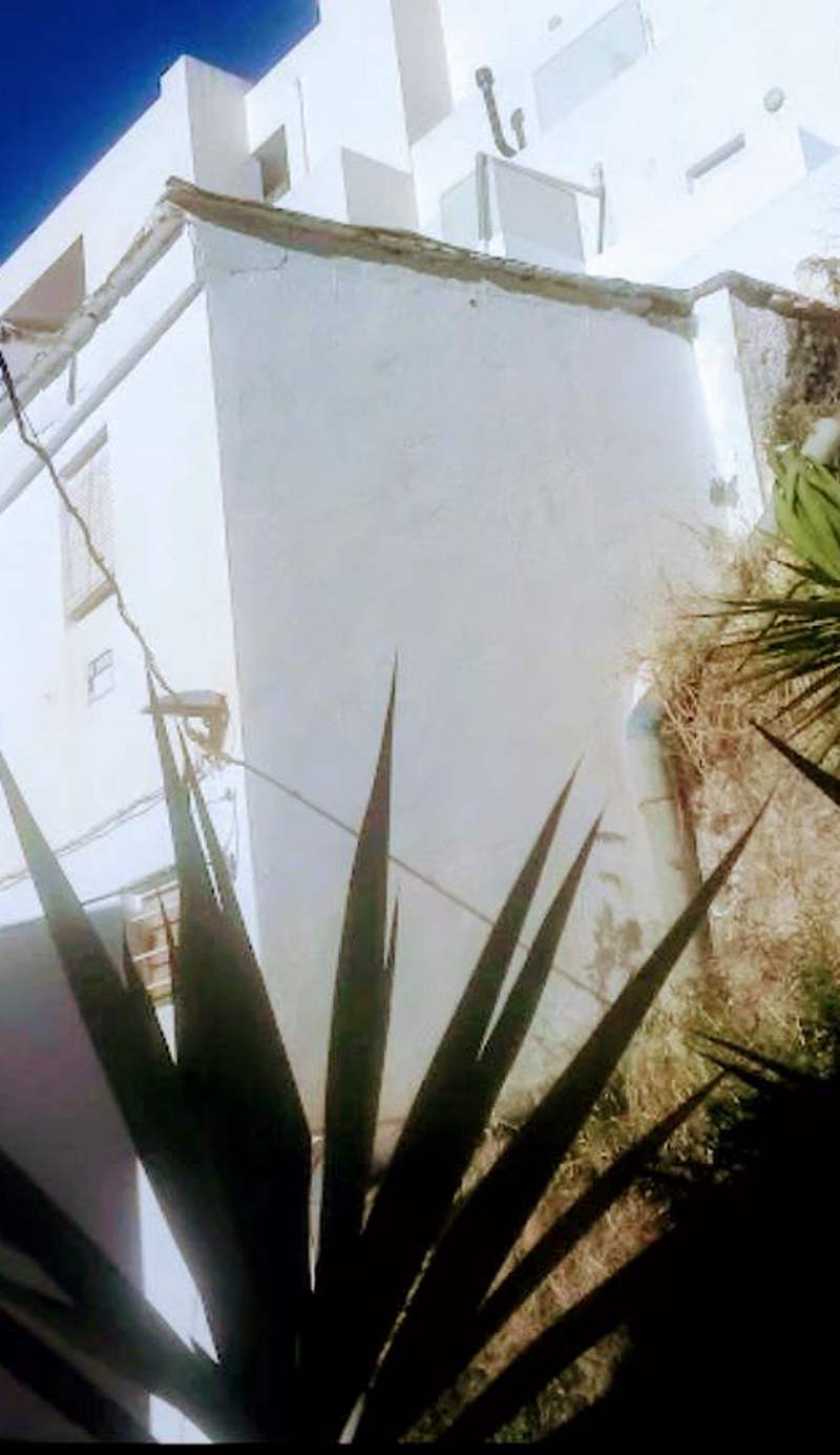Hostel Kahlo