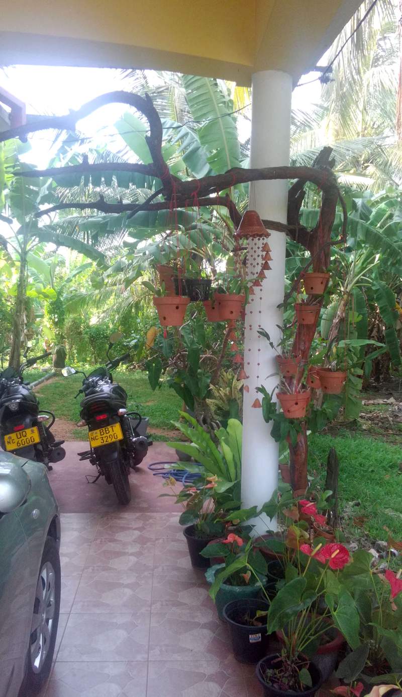 Diyawara Home Stay