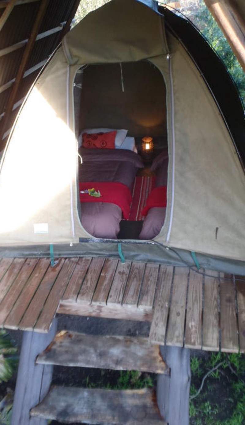 Tube 'n Axe Backpackers Lodge