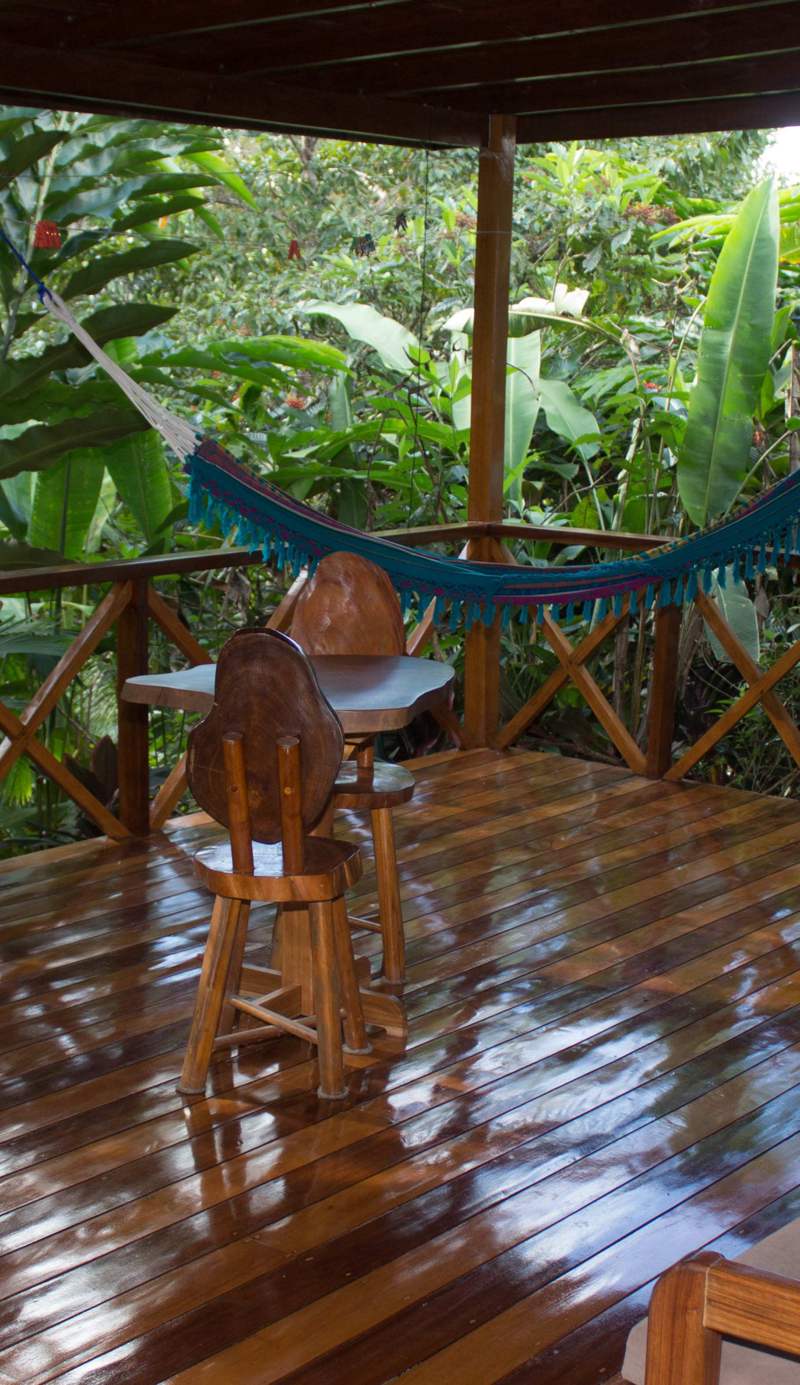 Vista Drake Lodge
