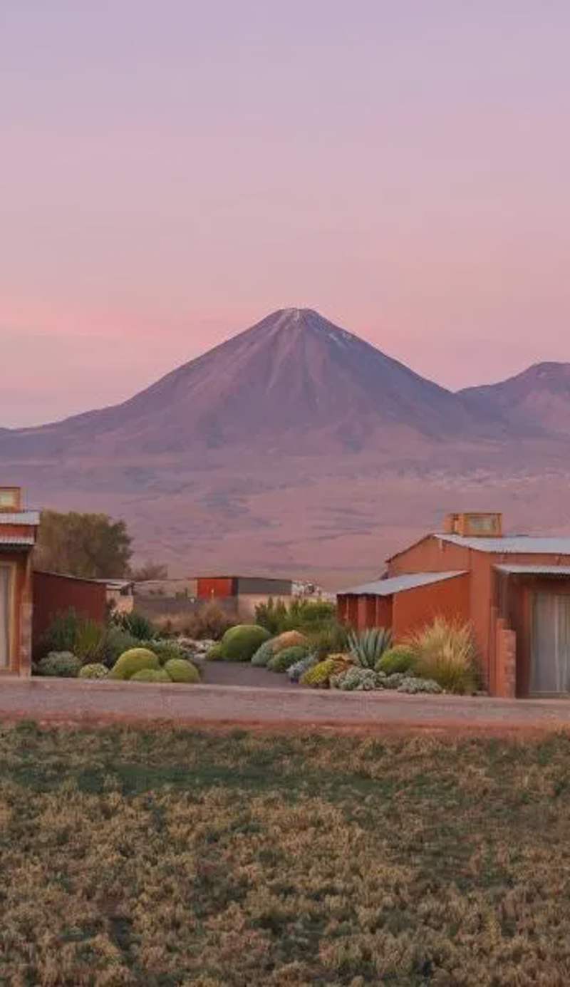 Eltoconar atacama