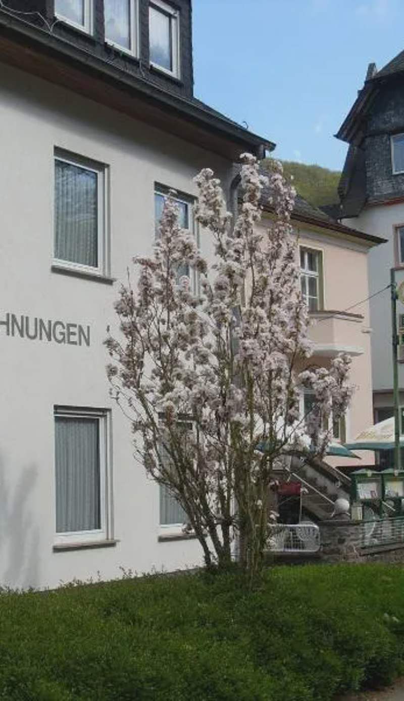Ferienwohnung Viktoria
