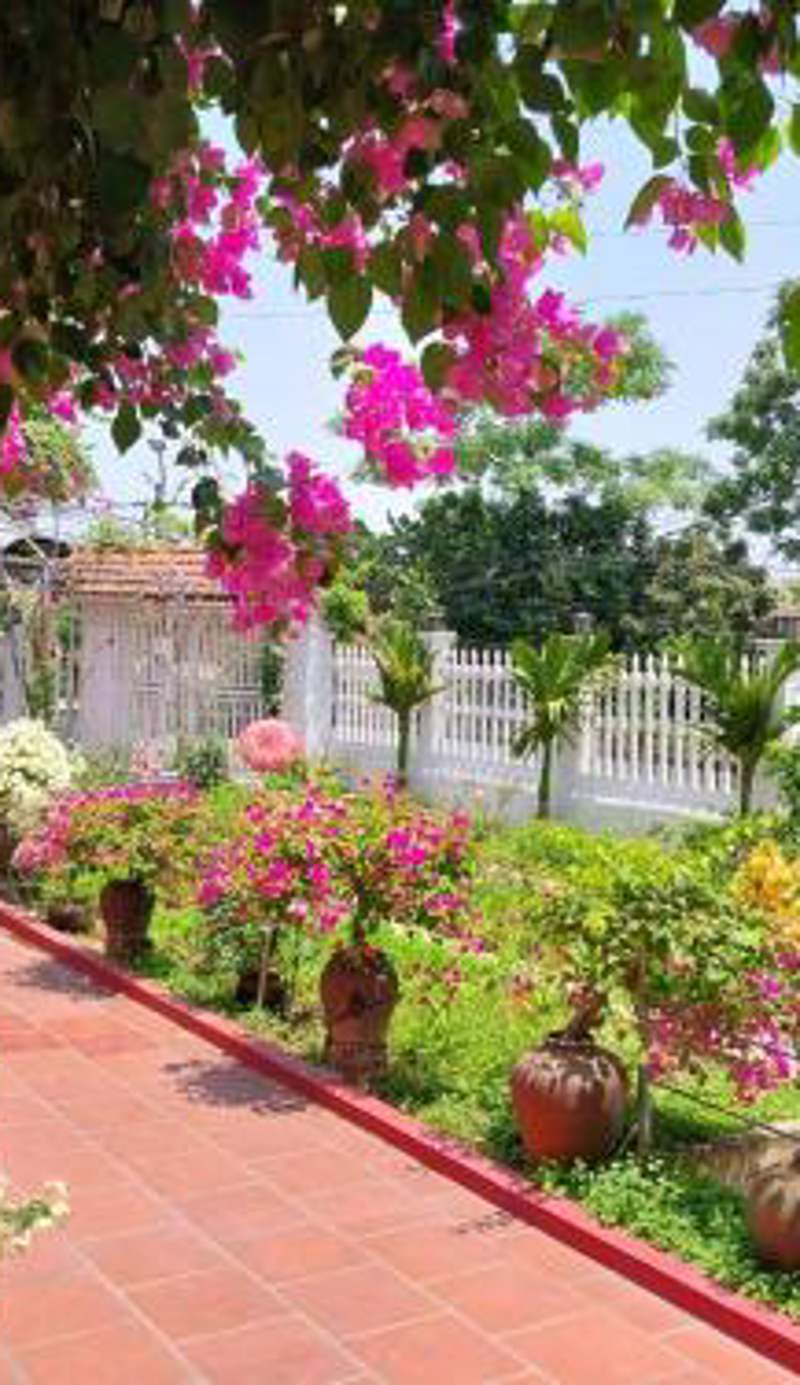 Nha Xanh Homestay