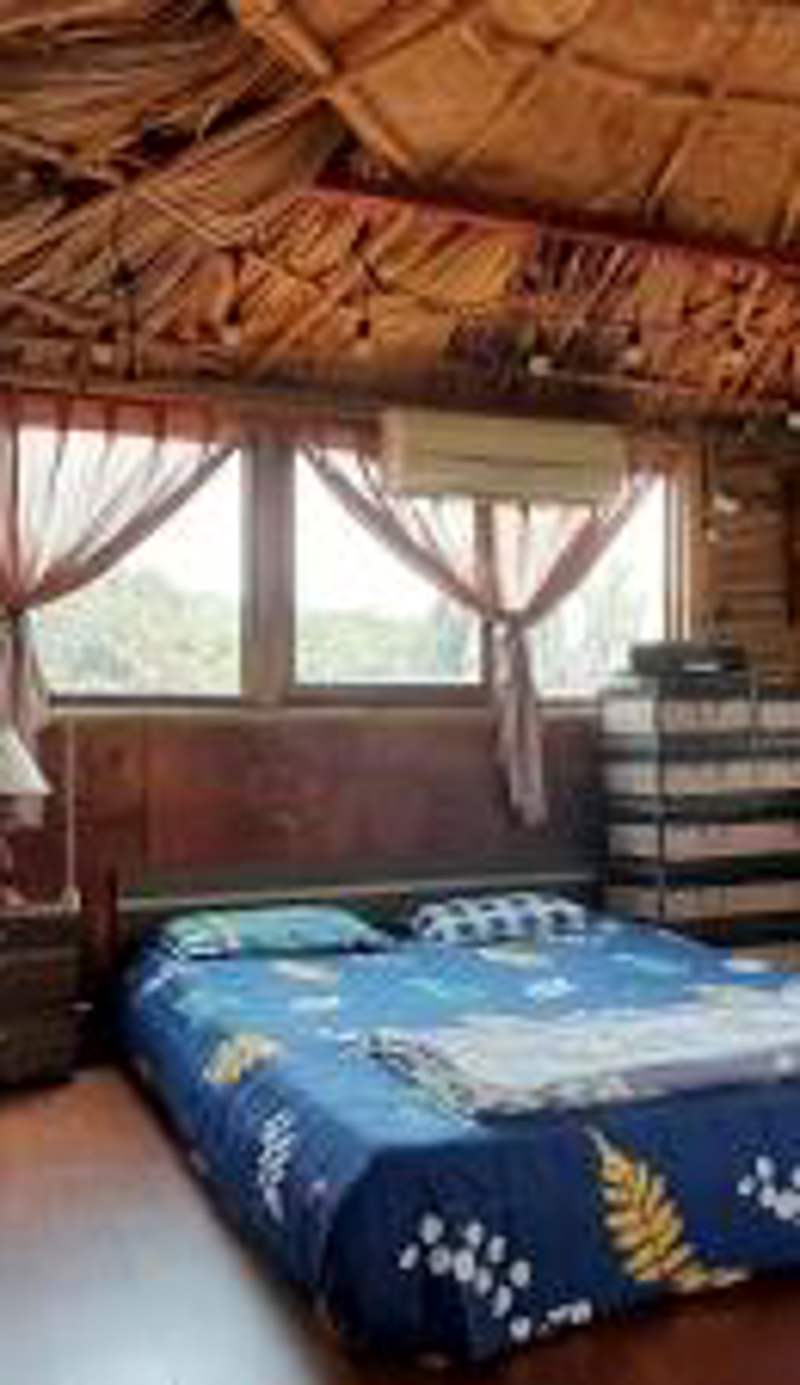 Green Homestay