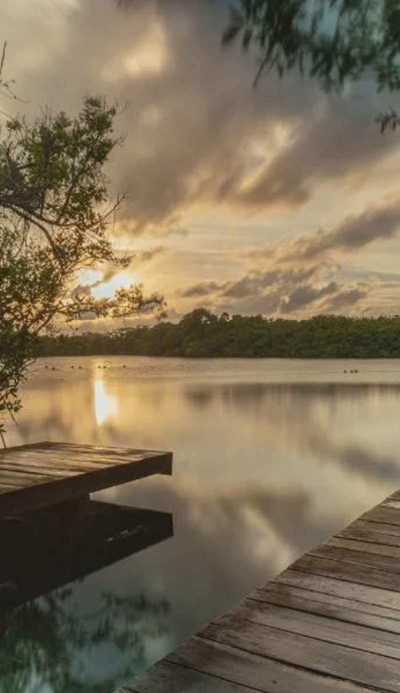 Yaxchen Tulum Cabañas & Cenote