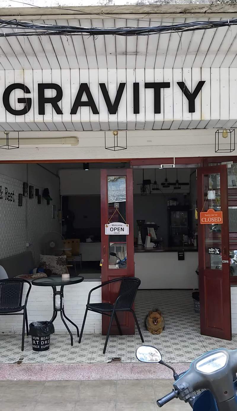 Gravity Hostel