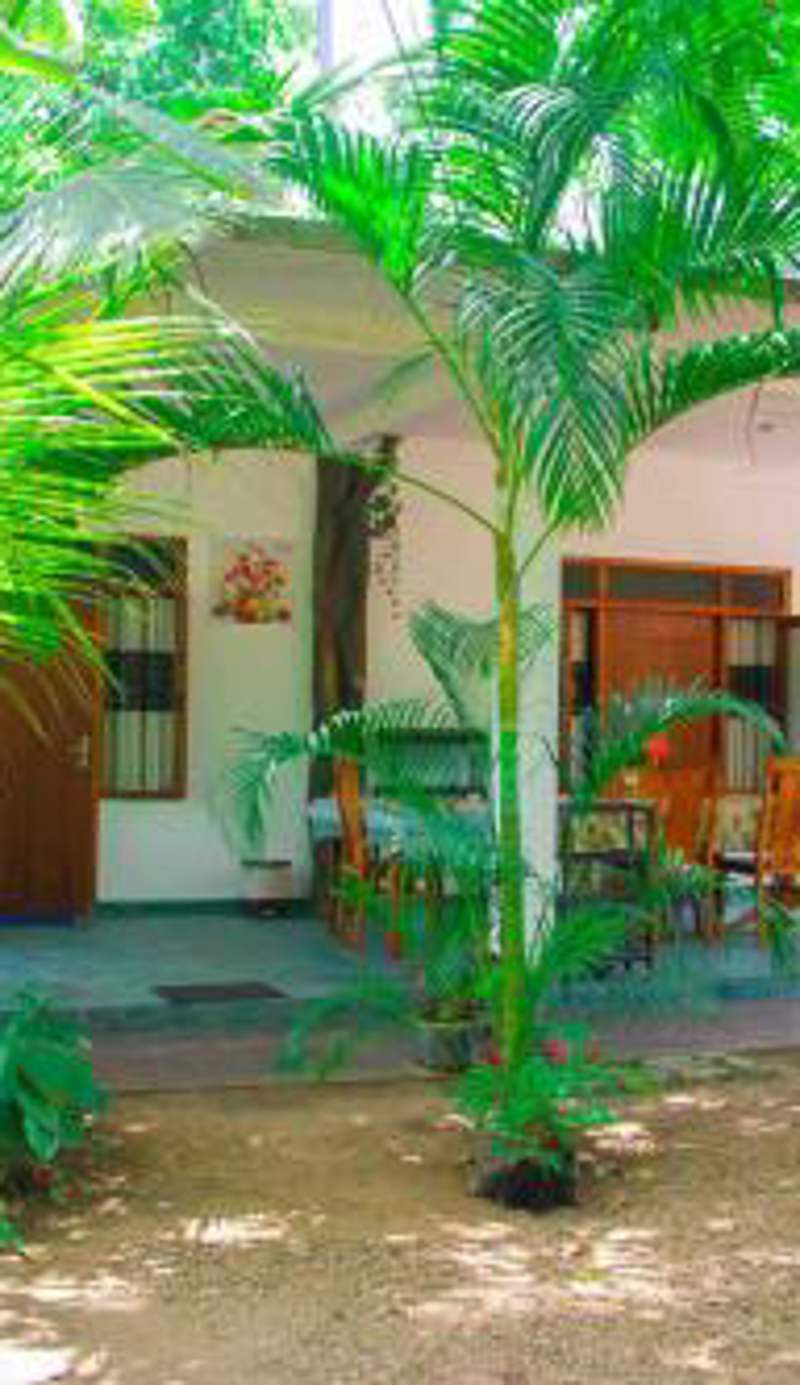 Amba Sewana Homestay