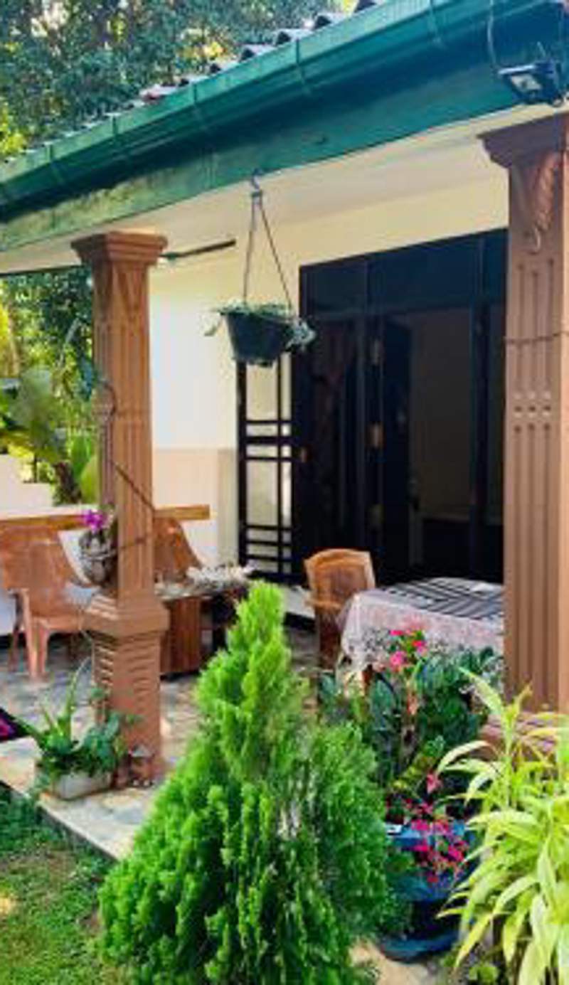 Aloe Home Stay