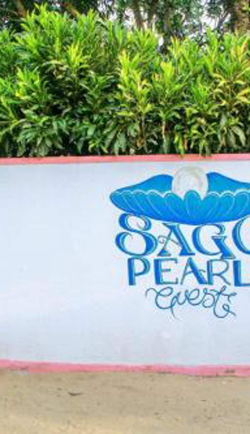 Sagopearl Guest