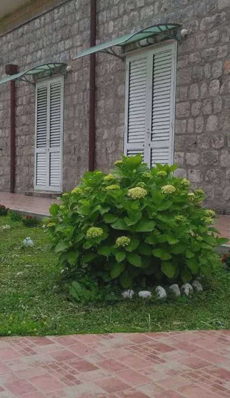 Guest House Eight Roses