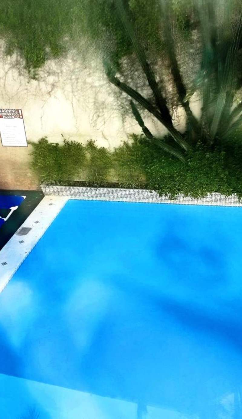 Hotel Las Dalias Inn