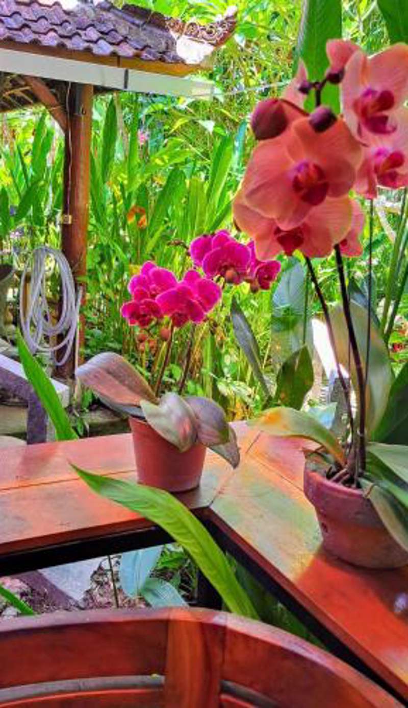 Bali Kembali Hotel