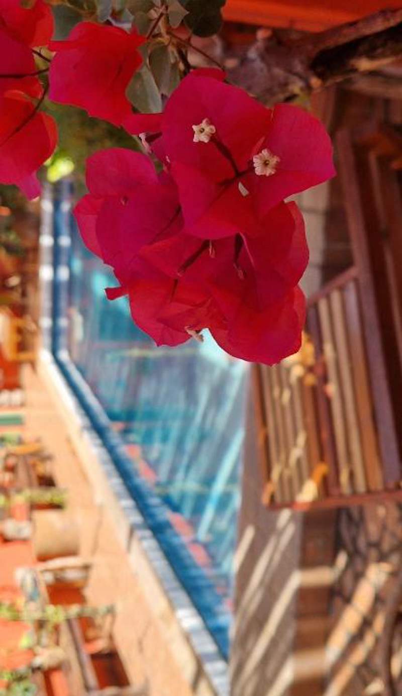 Boutique Hotel Maharaja