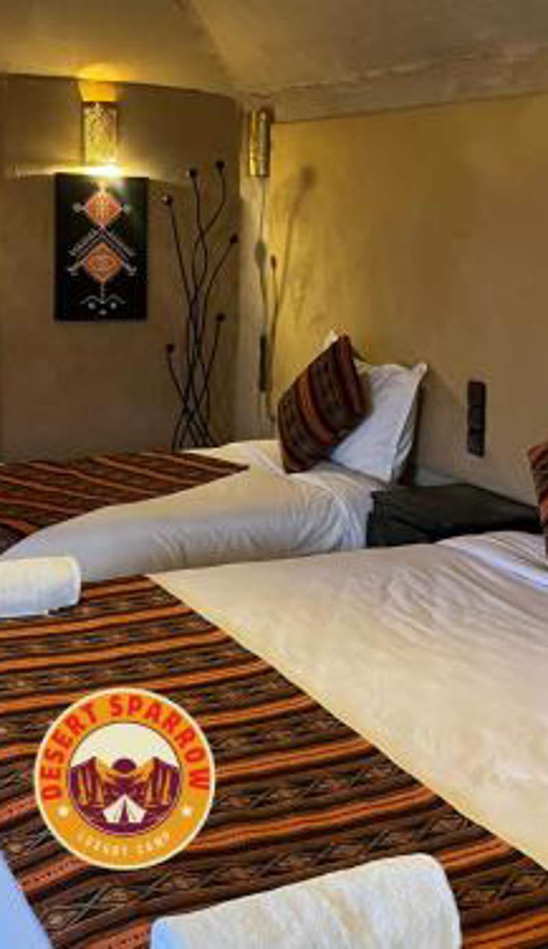 Desert sparrow camp