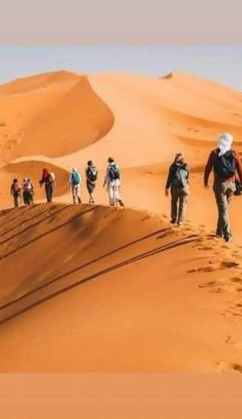 Tasnim Désert Camp & Activités