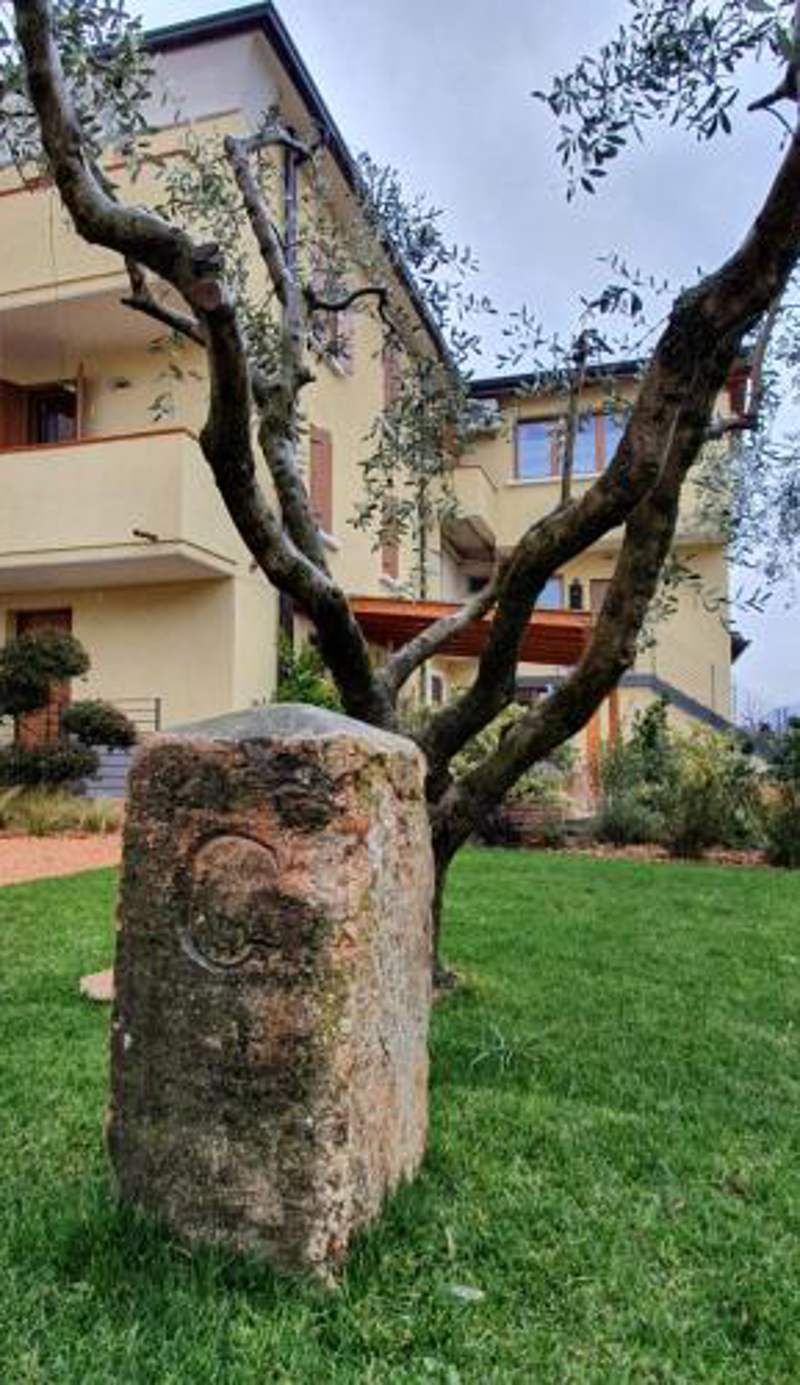 BB IL CIPPO