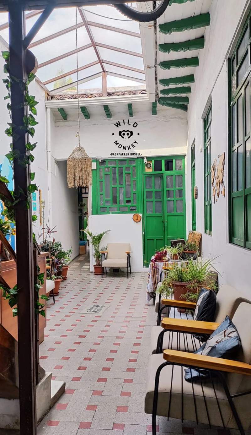 Wild Monkey Hostel
