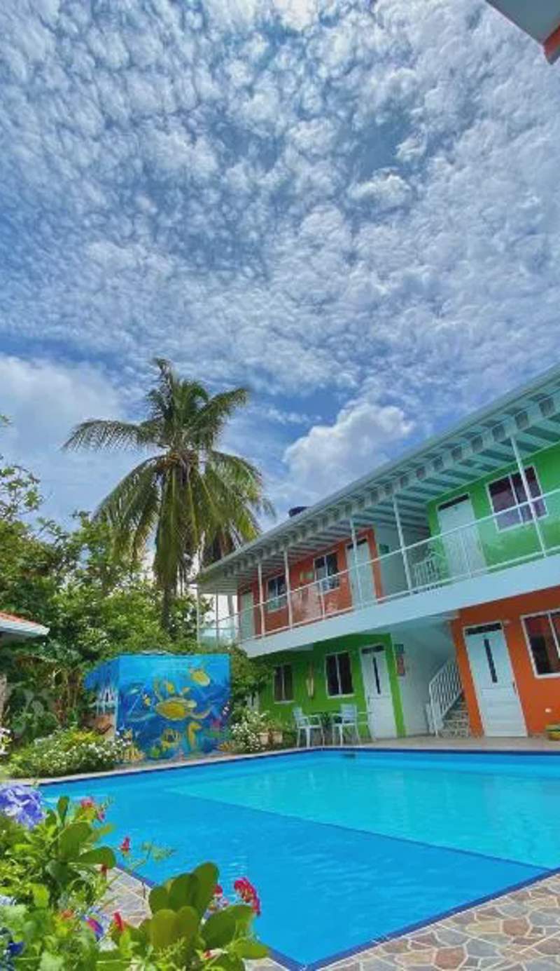 Apartamento Miss Brigida