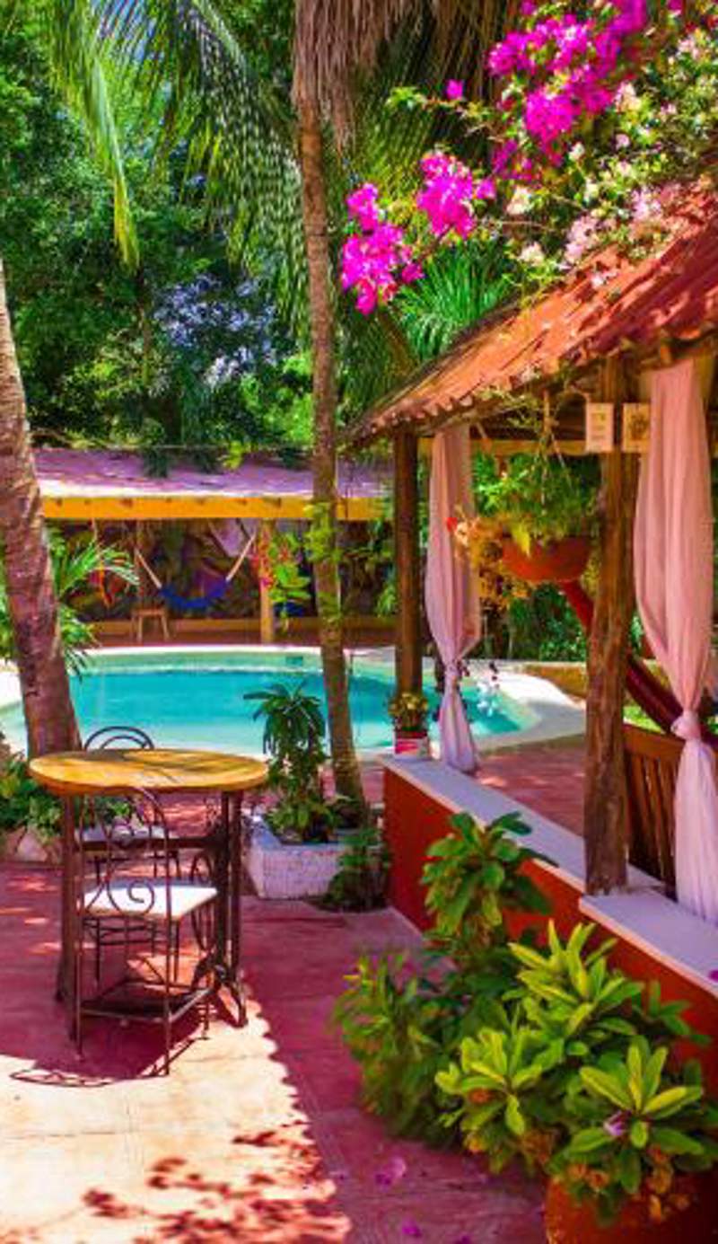 Casa De Los Pájaros - B&B