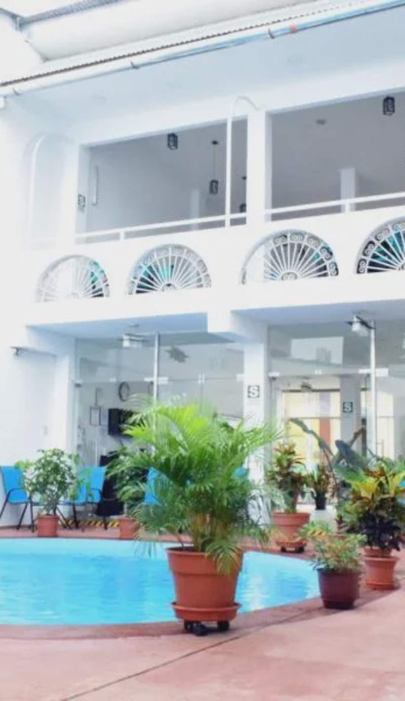 Hotel Jungle House