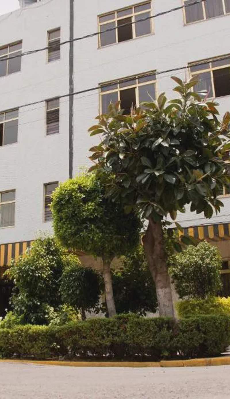 HOTEL ESTADIO S.A