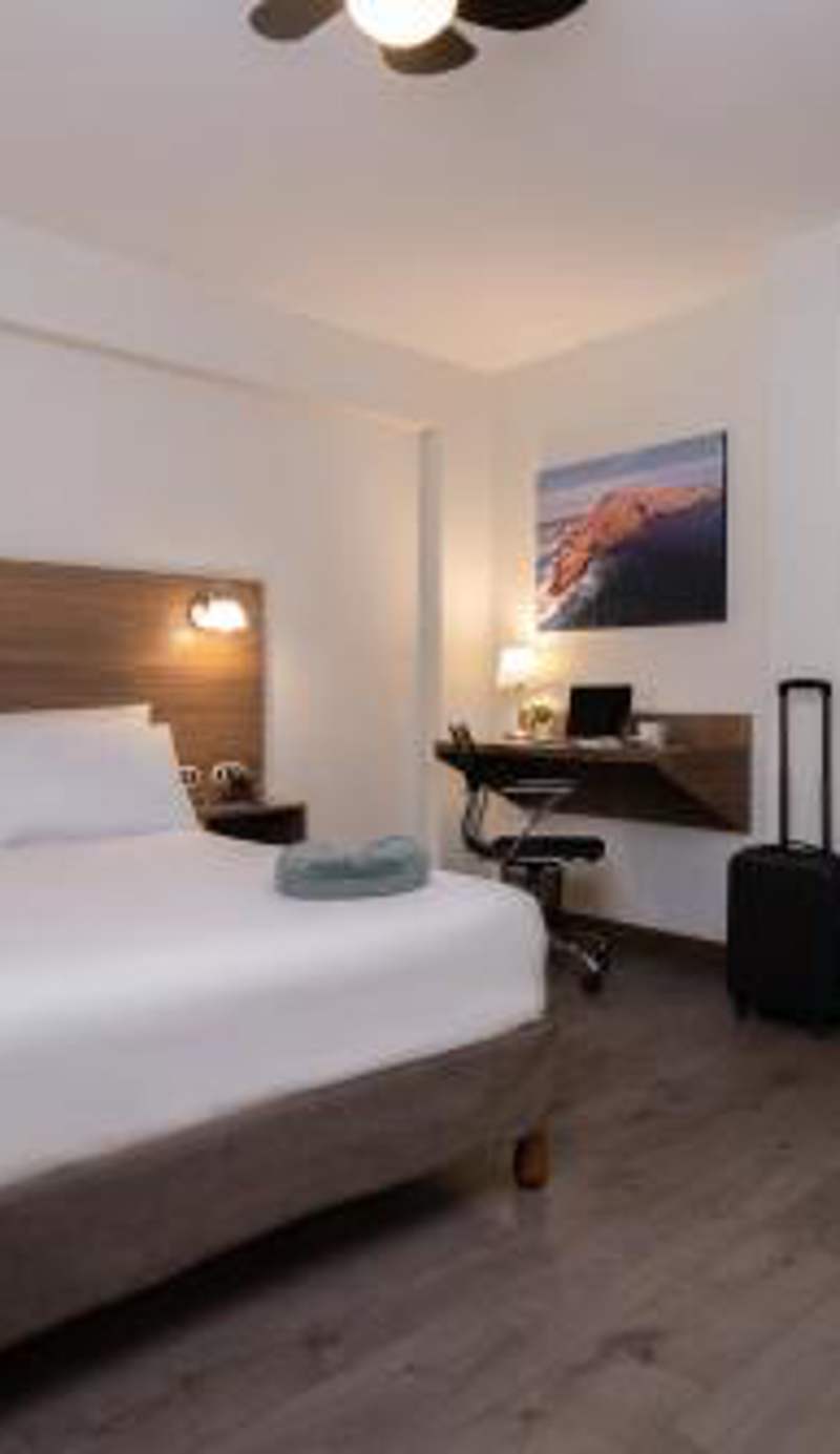 Hotel Alexander