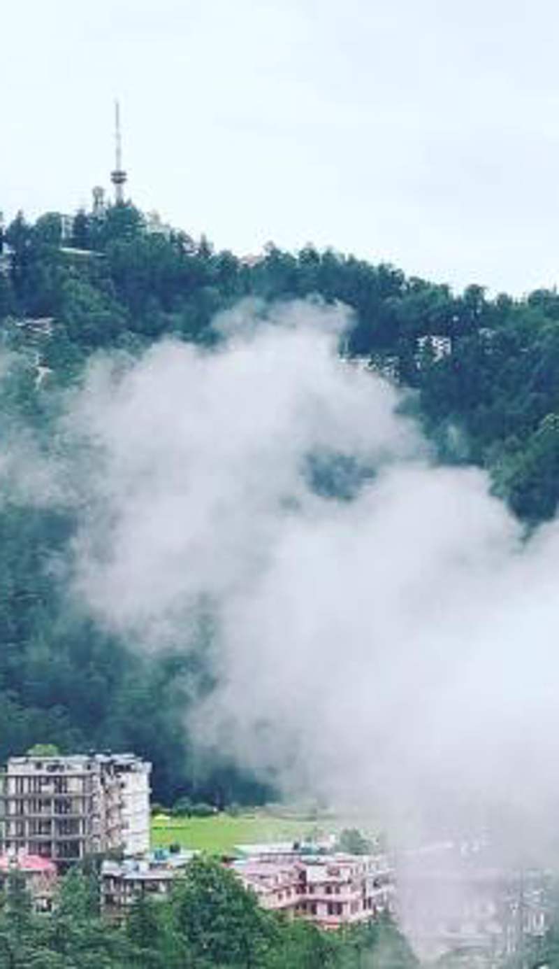 Shimla Pines Homestay