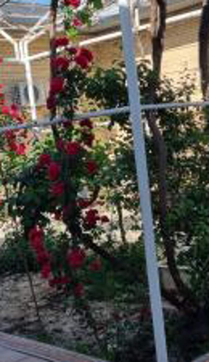 Hostel Muborak