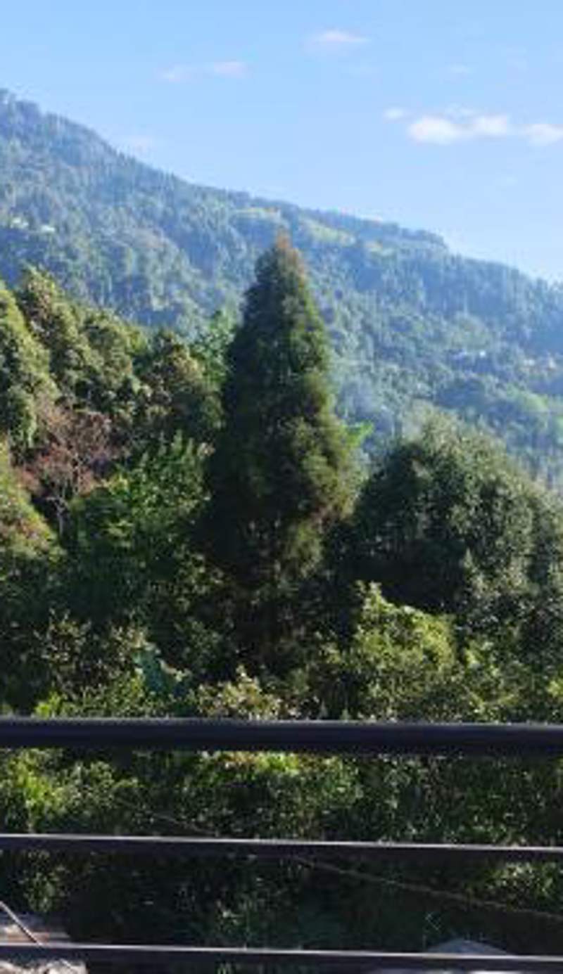 Meera homestay