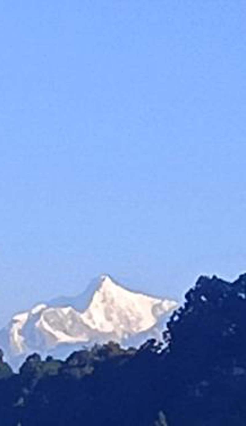 Mountain view homestay Darjeeling