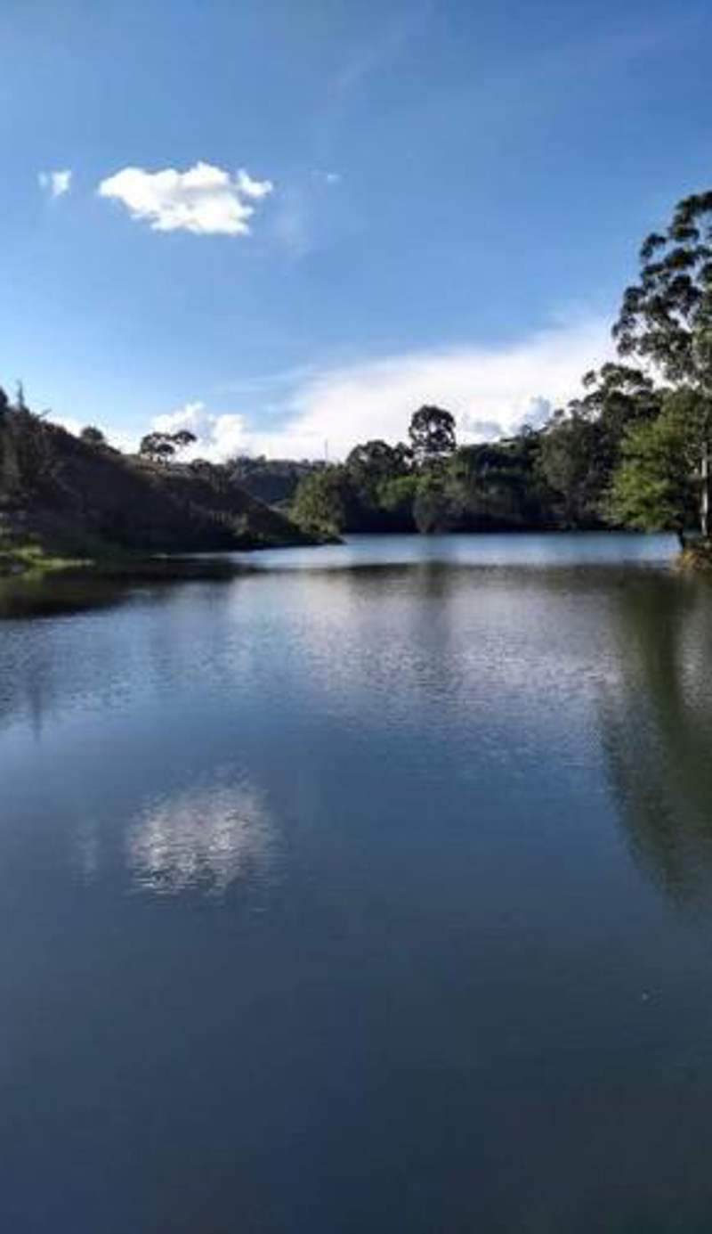 Cabañas La Honda