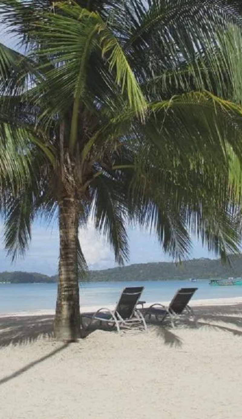 Saracen Bay Resort