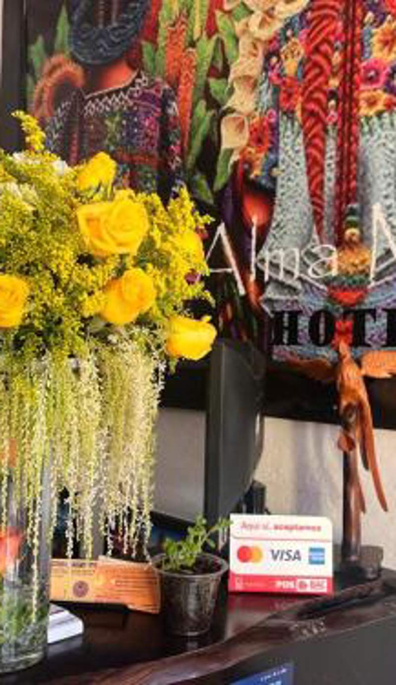 Hotel Alma Maya