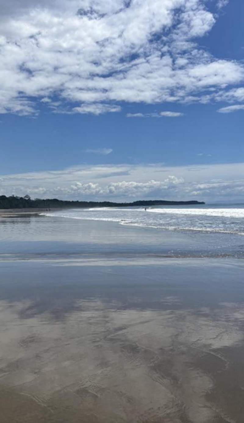 Hotel Uvita Forest