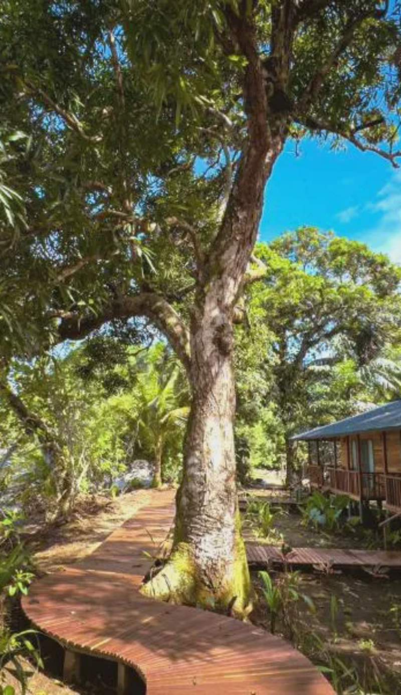 Black Sands Lodge